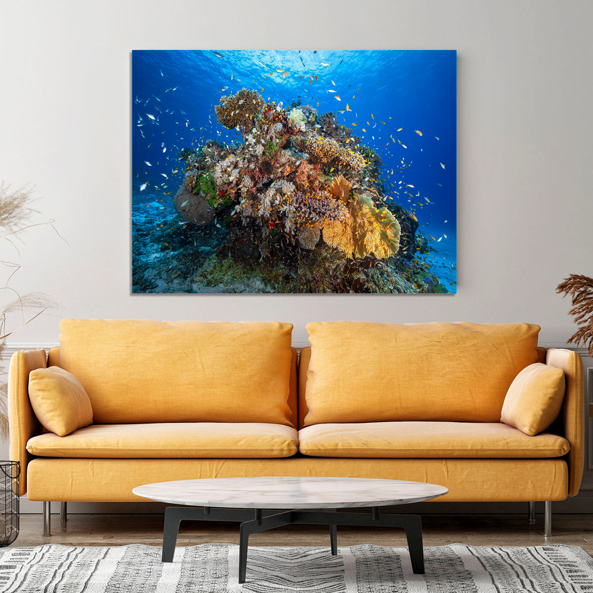 Underwater Biodiversity Canvas Print or Poster - Canvas Art Rocks - 4