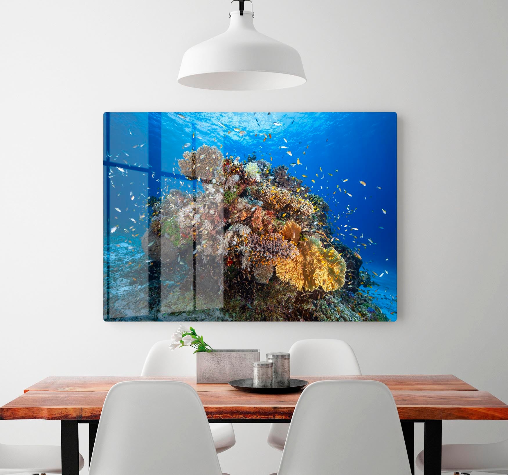 Underwater Biodiversity HD Metal Print - Canvas Art Rocks - 2