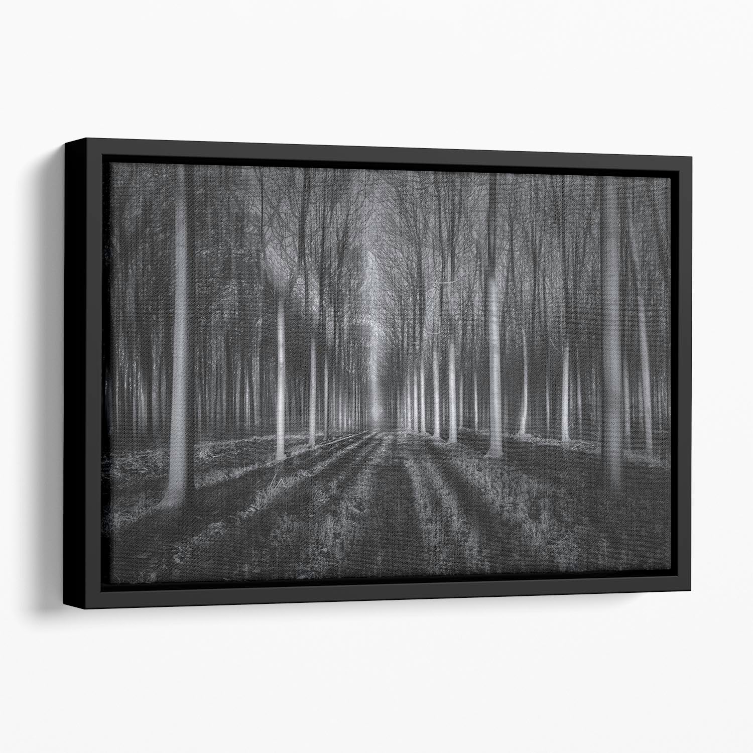 Into The Forest Floating Framed Canvas - Canvas Art Rocks - 1