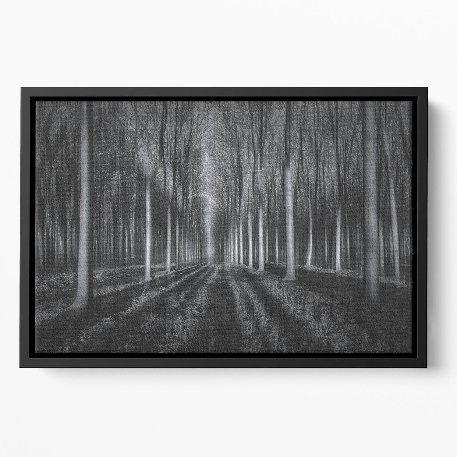 Into The Forest Floating Framed Canvas - Canvas Art Rocks - 2