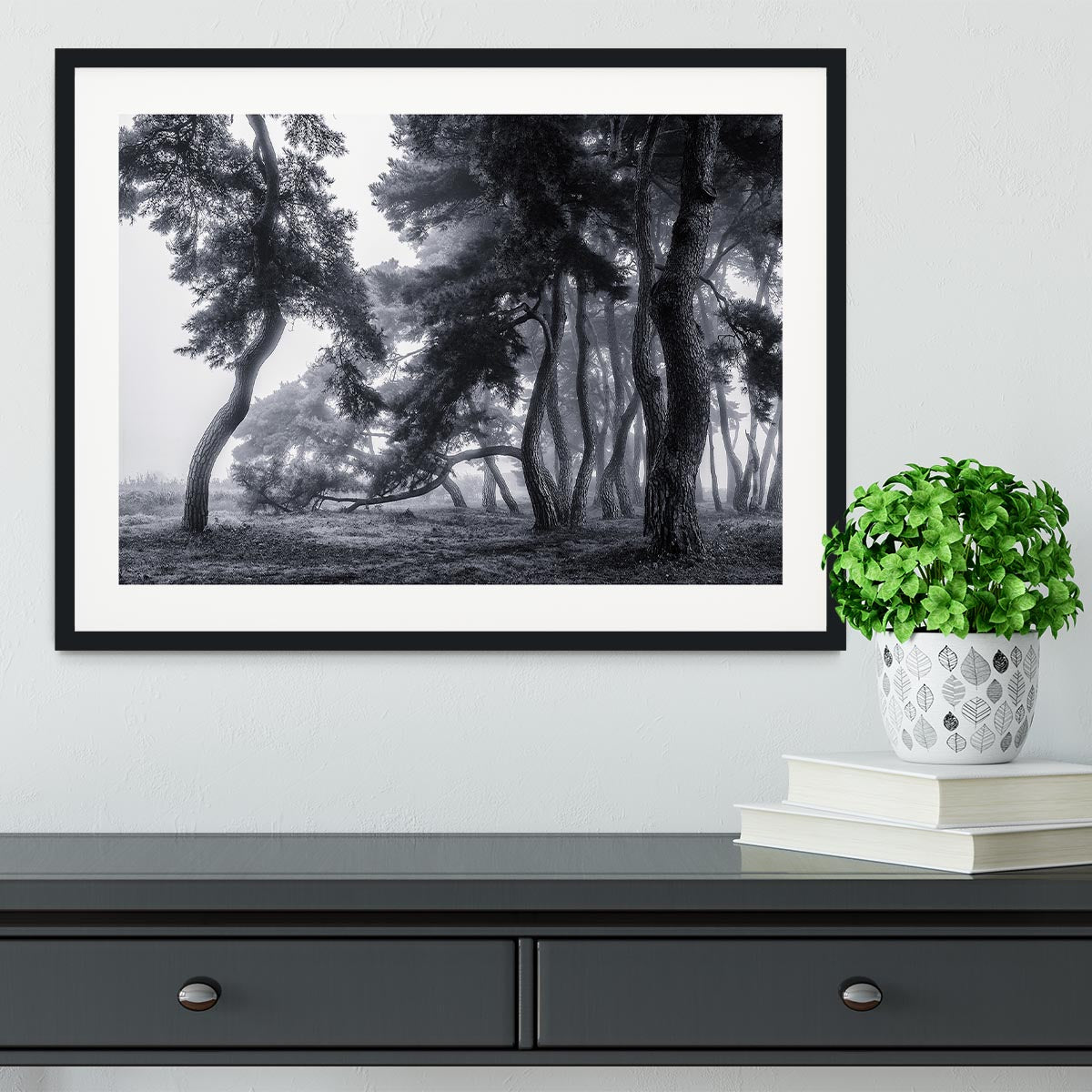 Pine Trees Dancing In The Fog Framed Print - Canvas Art Rocks - 1