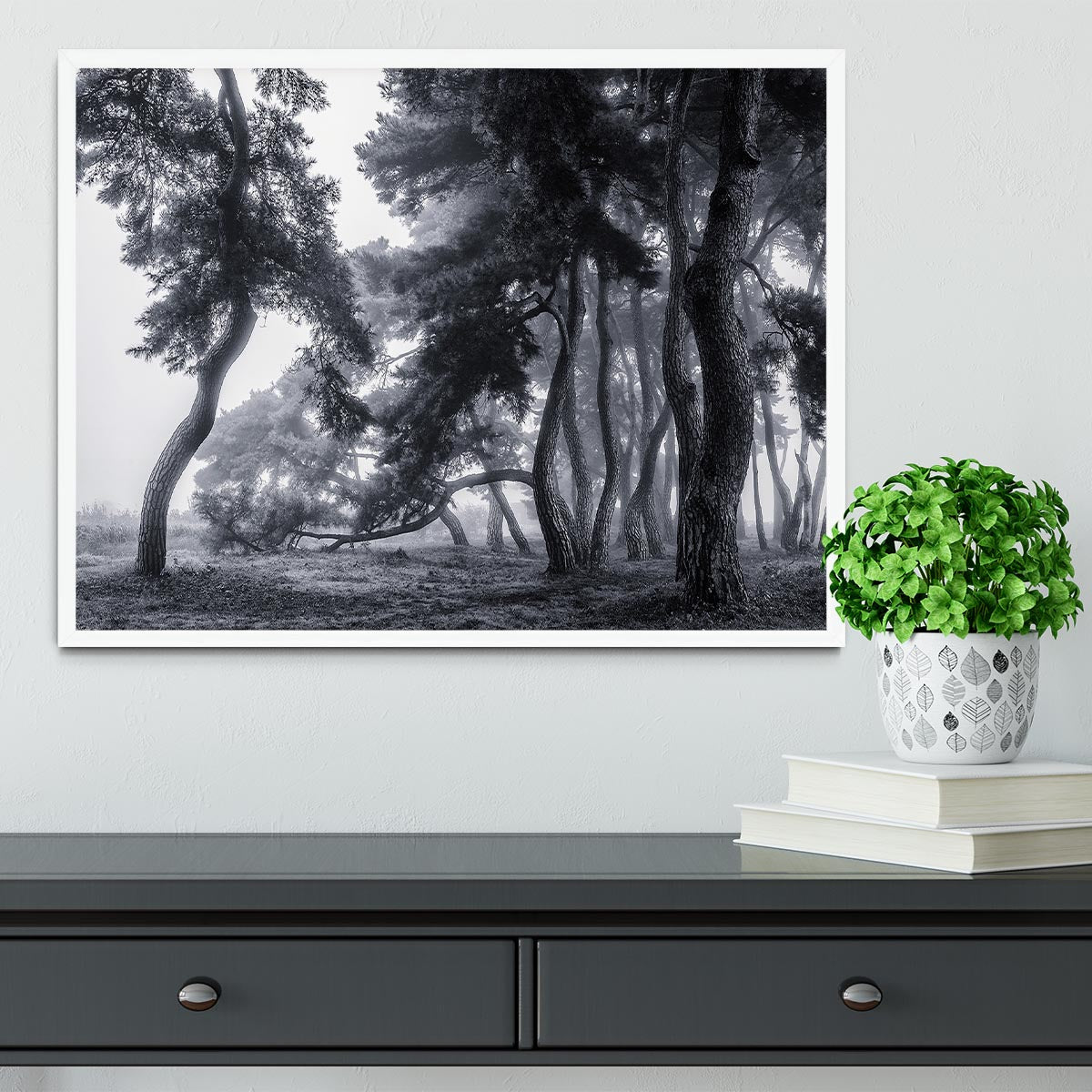 Pine Trees Dancing In The Fog Framed Print - Canvas Art Rocks -6