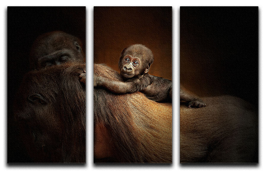 Baby Monkey 3 Split Panel Canvas Print - Canvas Art Rocks - 1