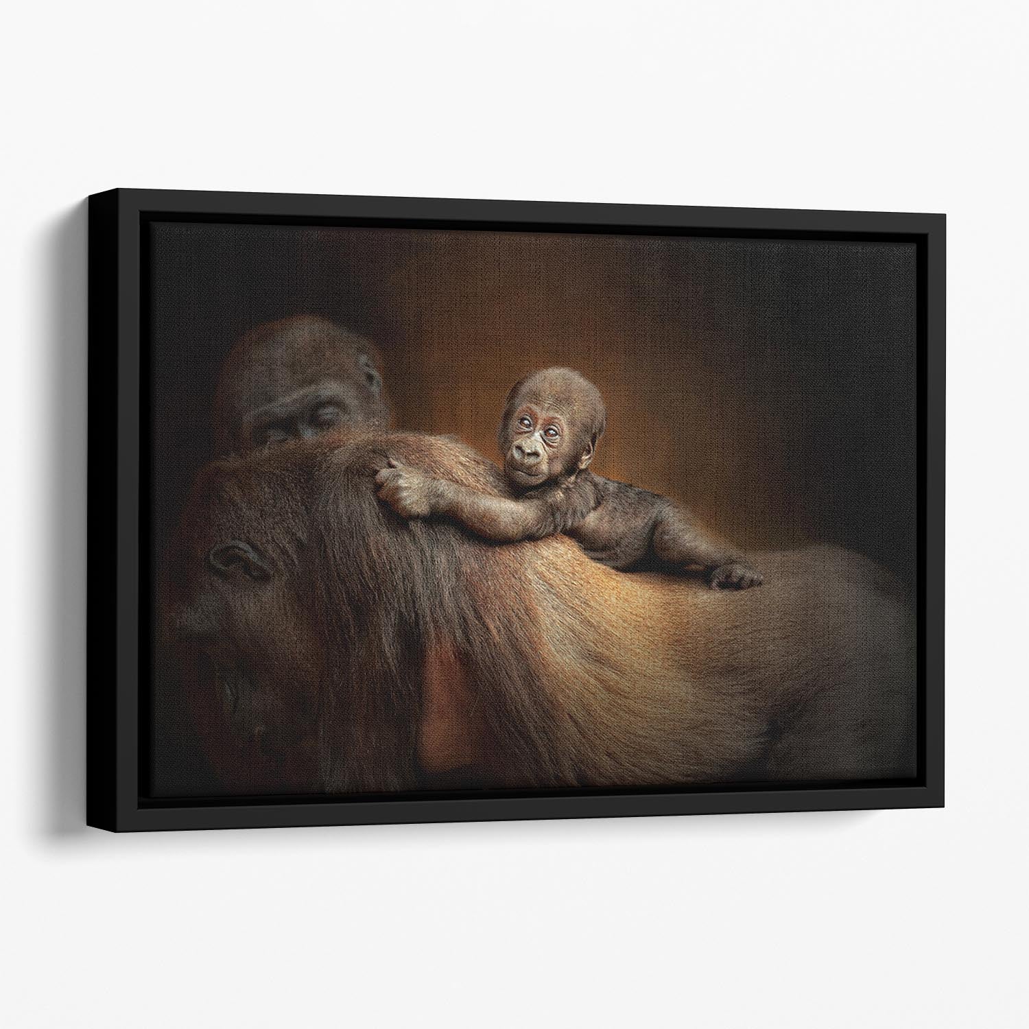 Baby Monkey Floating Framed Canvas - Canvas Art Rocks - 1