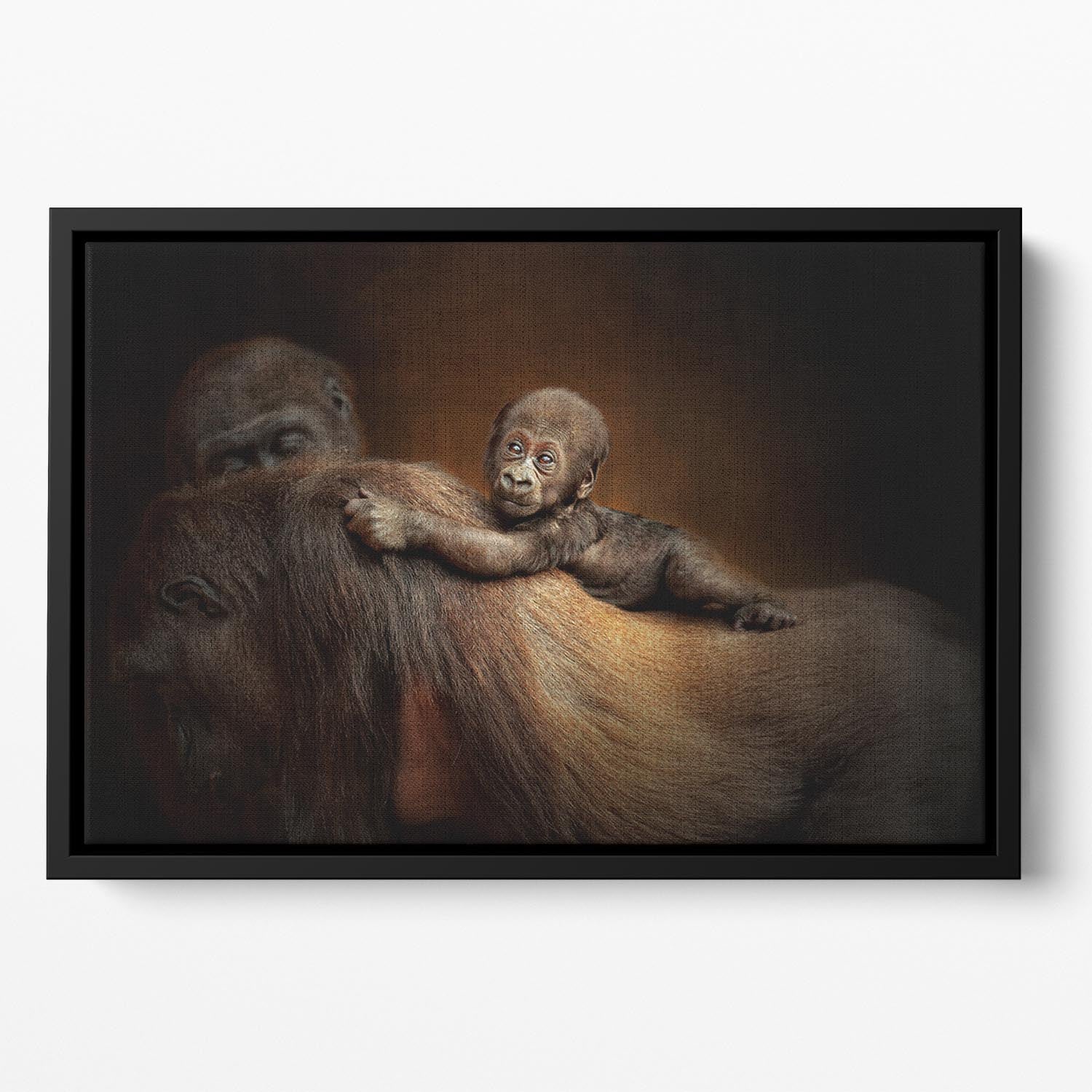 Baby Monkey Floating Framed Canvas - Canvas Art Rocks - 2