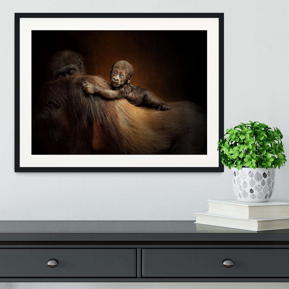 Baby Monkey Framed Print - Canvas Art Rocks - 1