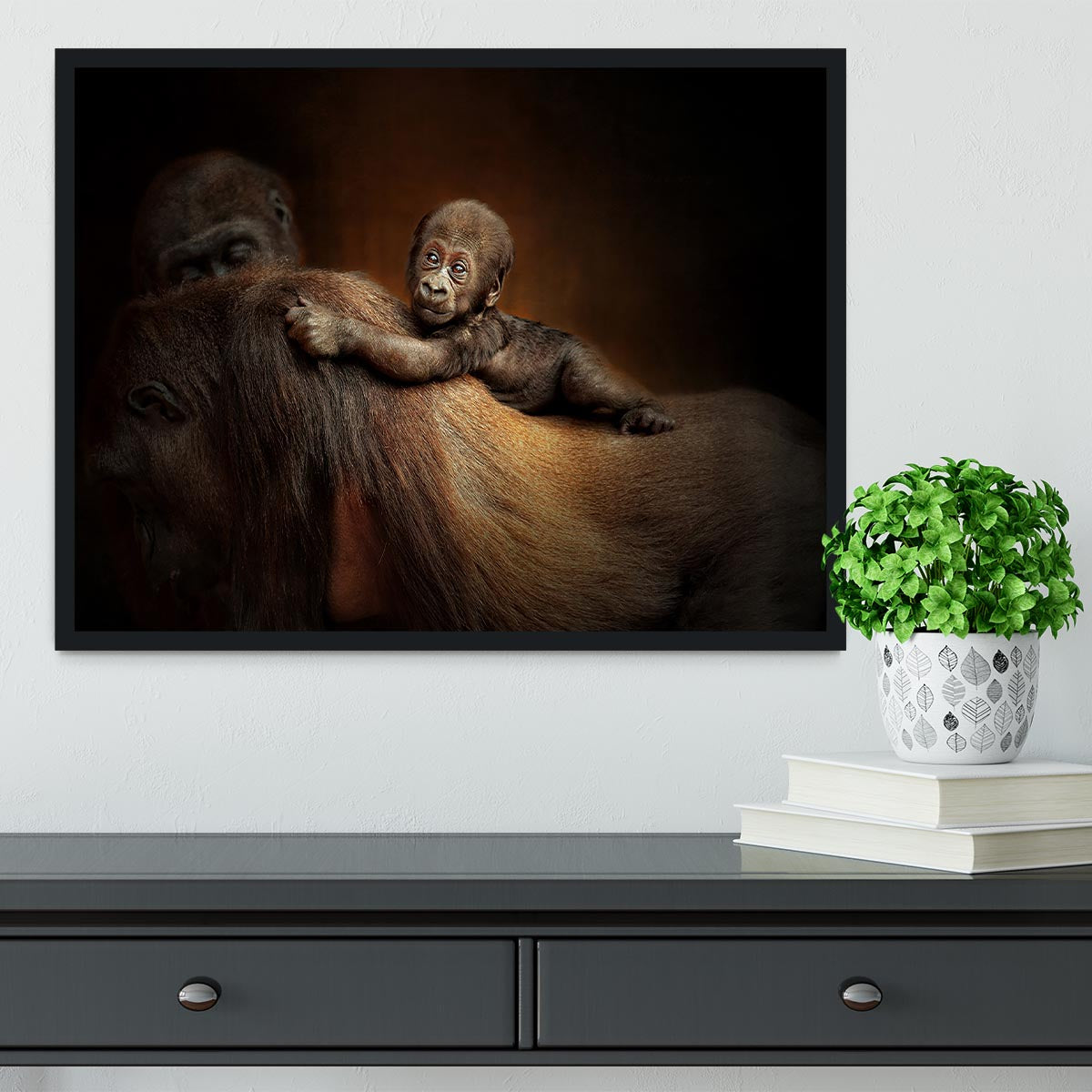 Baby Monkey Framed Print - 1x - 2