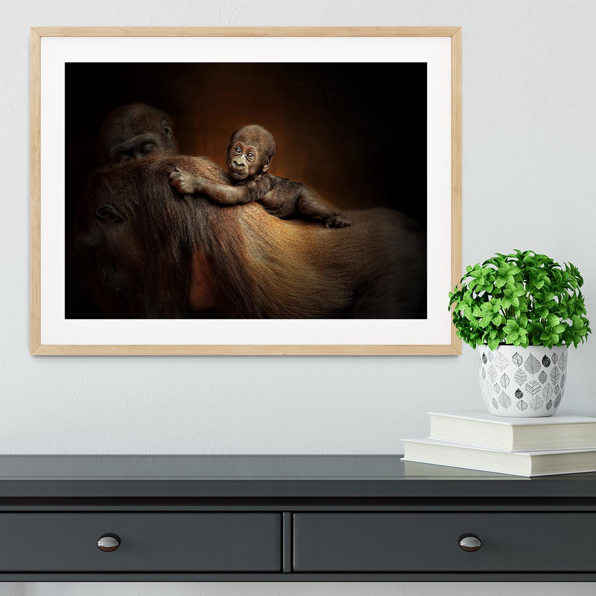 Baby Monkey Framed Print - Canvas Art Rocks - 3