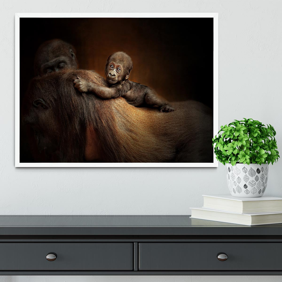 Baby Monkey Framed Print - Canvas Art Rocks -6