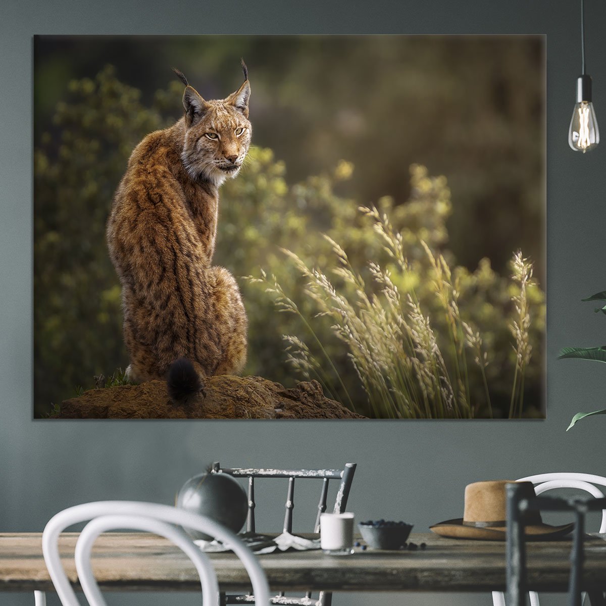 Lynx Fine Art Canvas Print or Poster - Canvas Art Rocks - 3