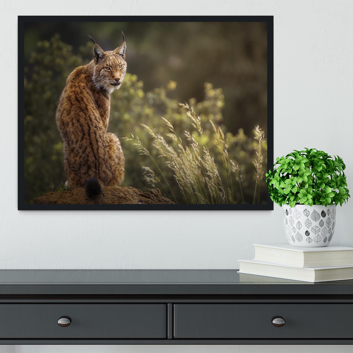 Lynx Fine Art Framed Print - Canvas Art Rocks - 2
