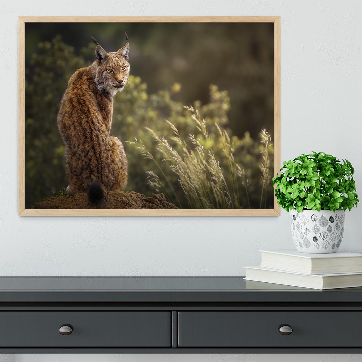 Lynx Fine Art Framed Print - Canvas Art Rocks - 4