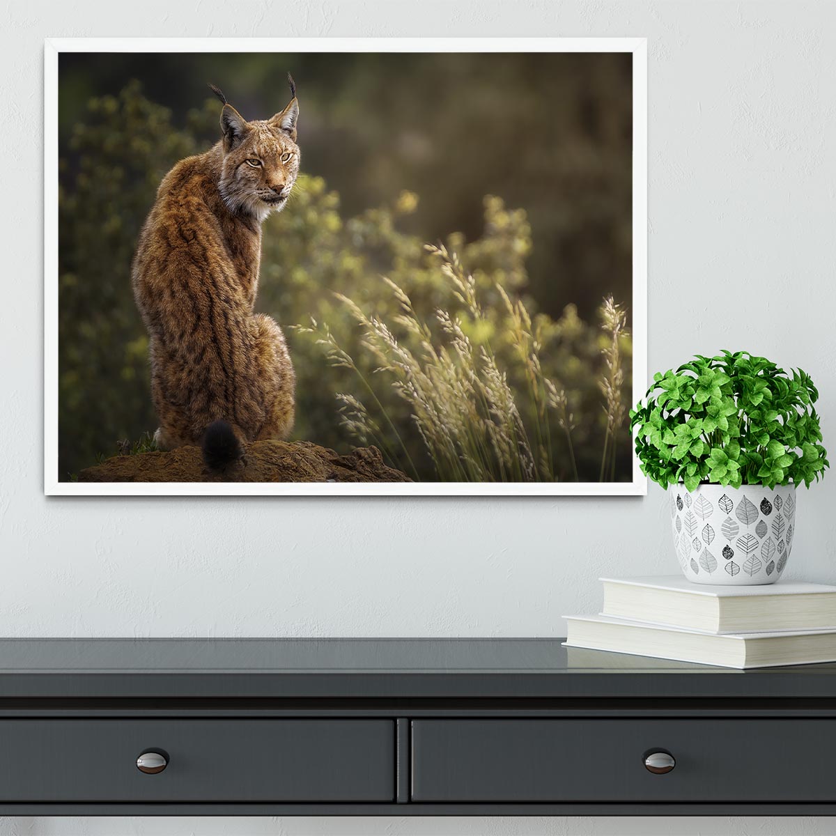Lynx Fine Art Framed Print - Canvas Art Rocks -6