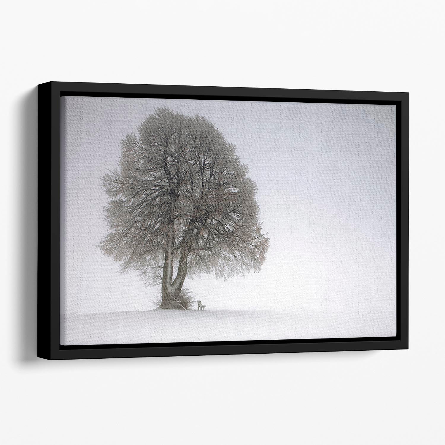 Winter Tree Floating Framed Canvas - Canvas Art Rocks - 1