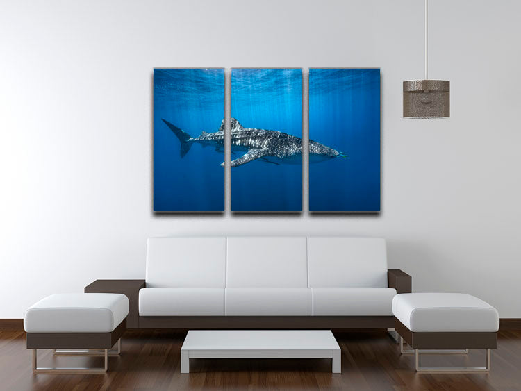 Whale Shark In The Blue 3 Split Panel Canvas Print - Canvas Art Rocks - 3