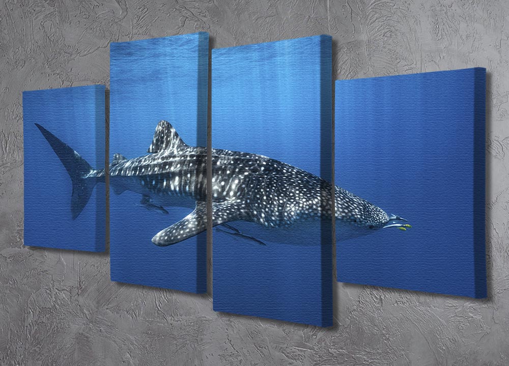 Whale Shark In The Blue 4 Split Panel Canvas - Canvas Art Rocks - 2