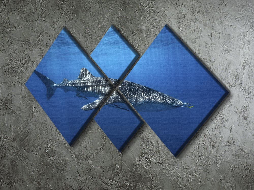 Whale Shark In The Blue 4 Square Multi Panel Canvas - Canvas Art Rocks - 2