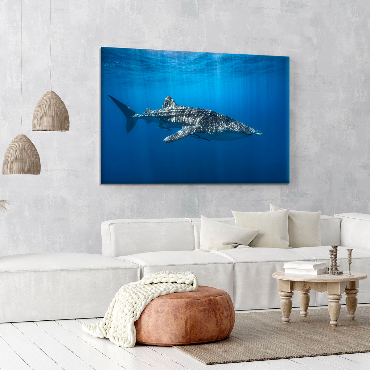 Whale Shark In The Blue Canvas Print or Poster - Canvas Art Rocks - 6