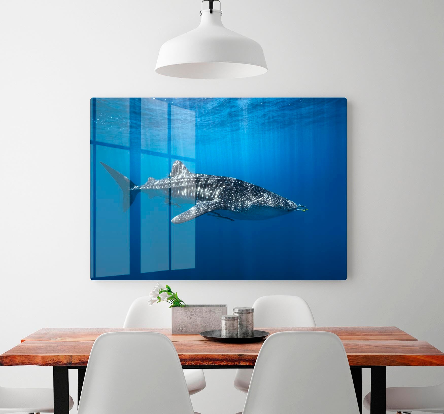 Whale Shark In The Blue HD Metal Print - Canvas Art Rocks - 2