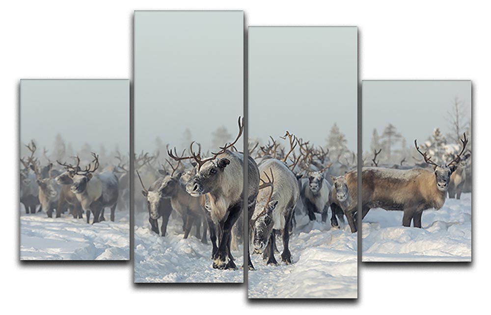 Reindeers 4 Split Panel Canvas - Canvas Art Rocks - 1