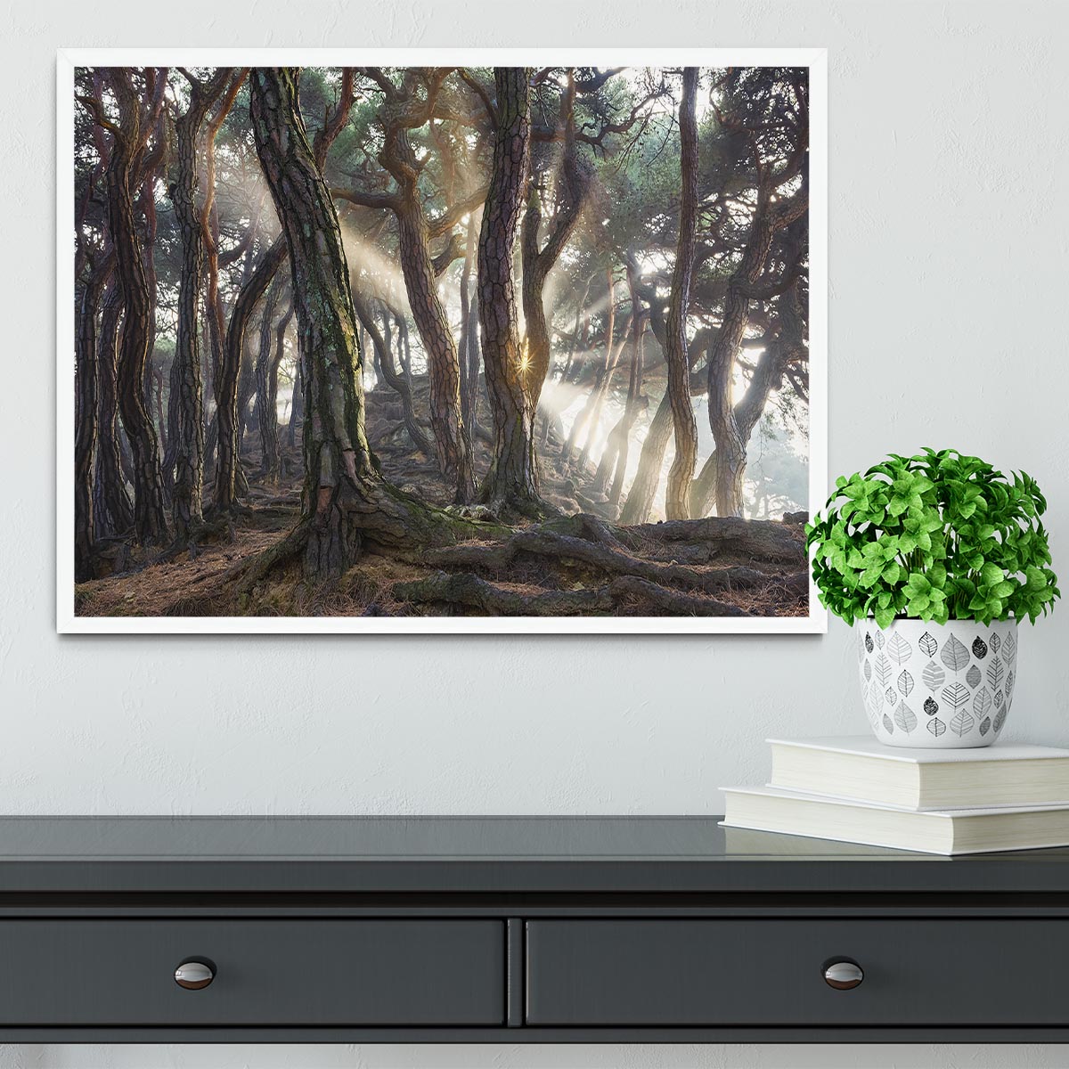 Sacred Pine Trees Framed Print - Canvas Art Rocks -6