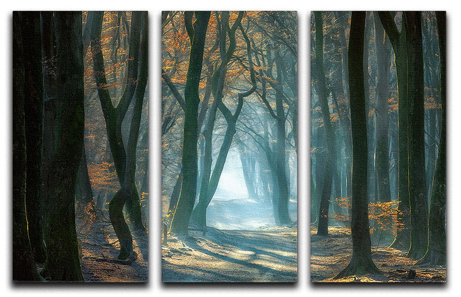 Cold Light 3 Split Panel Canvas Print - Canvas Art Rocks - 1