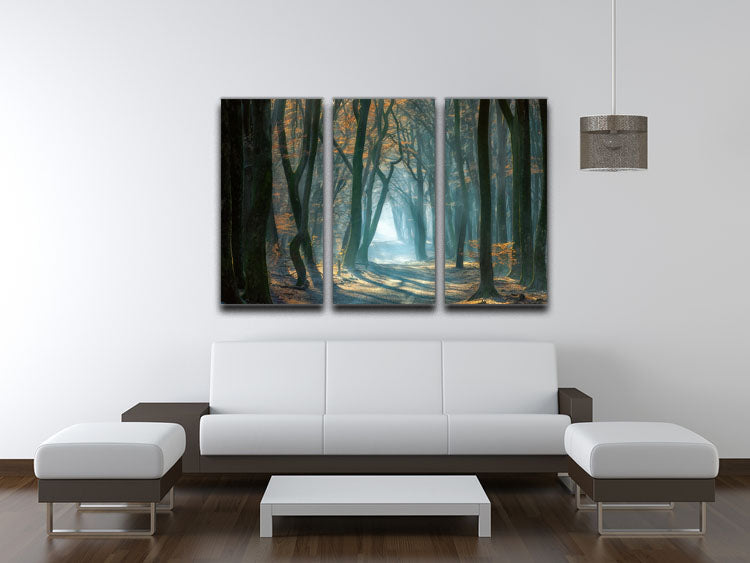 Cold Light 3 Split Panel Canvas Print - Canvas Art Rocks - 3