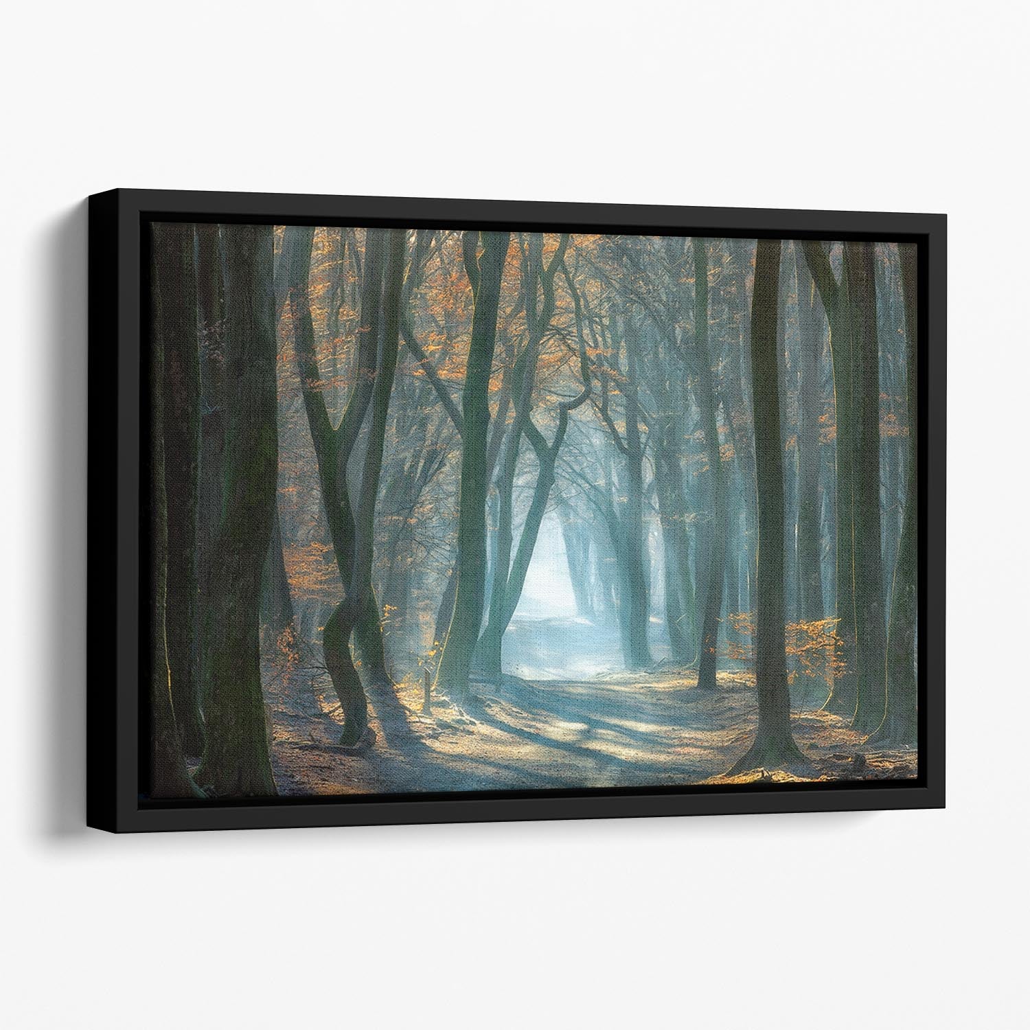 Cold Light Floating Framed Canvas - Canvas Art Rocks - 1