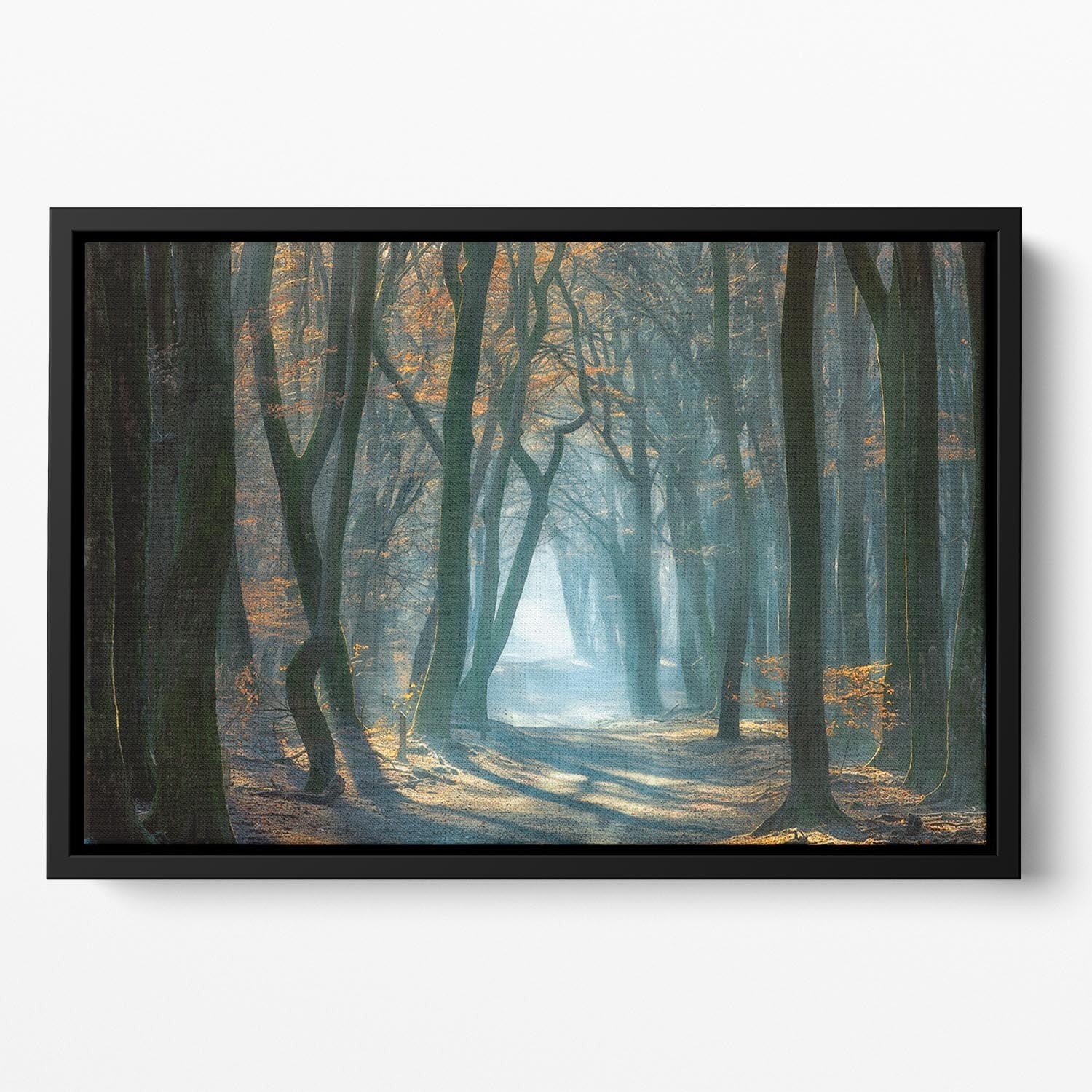 Cold Light Floating Framed Canvas - Canvas Art Rocks - 2