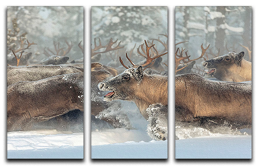 Reindeers III 3 Split Panel Canvas Print - Canvas Art Rocks - 1