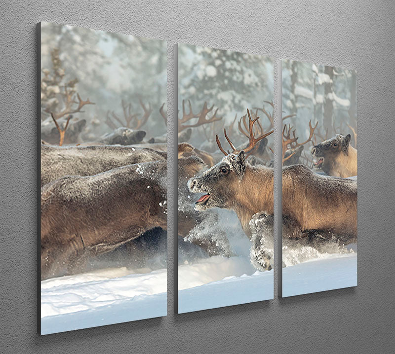 Reindeers III 3 Split Panel Canvas Print - Canvas Art Rocks - 2