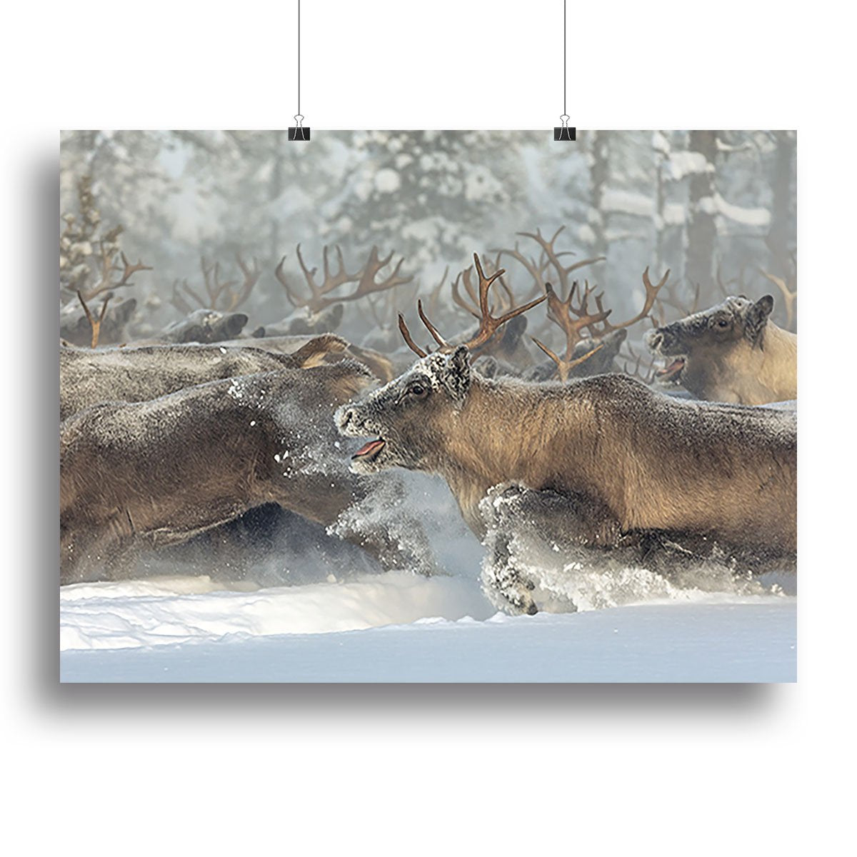 Reindeers III Canvas Print or Poster - Canvas Art Rocks - 2