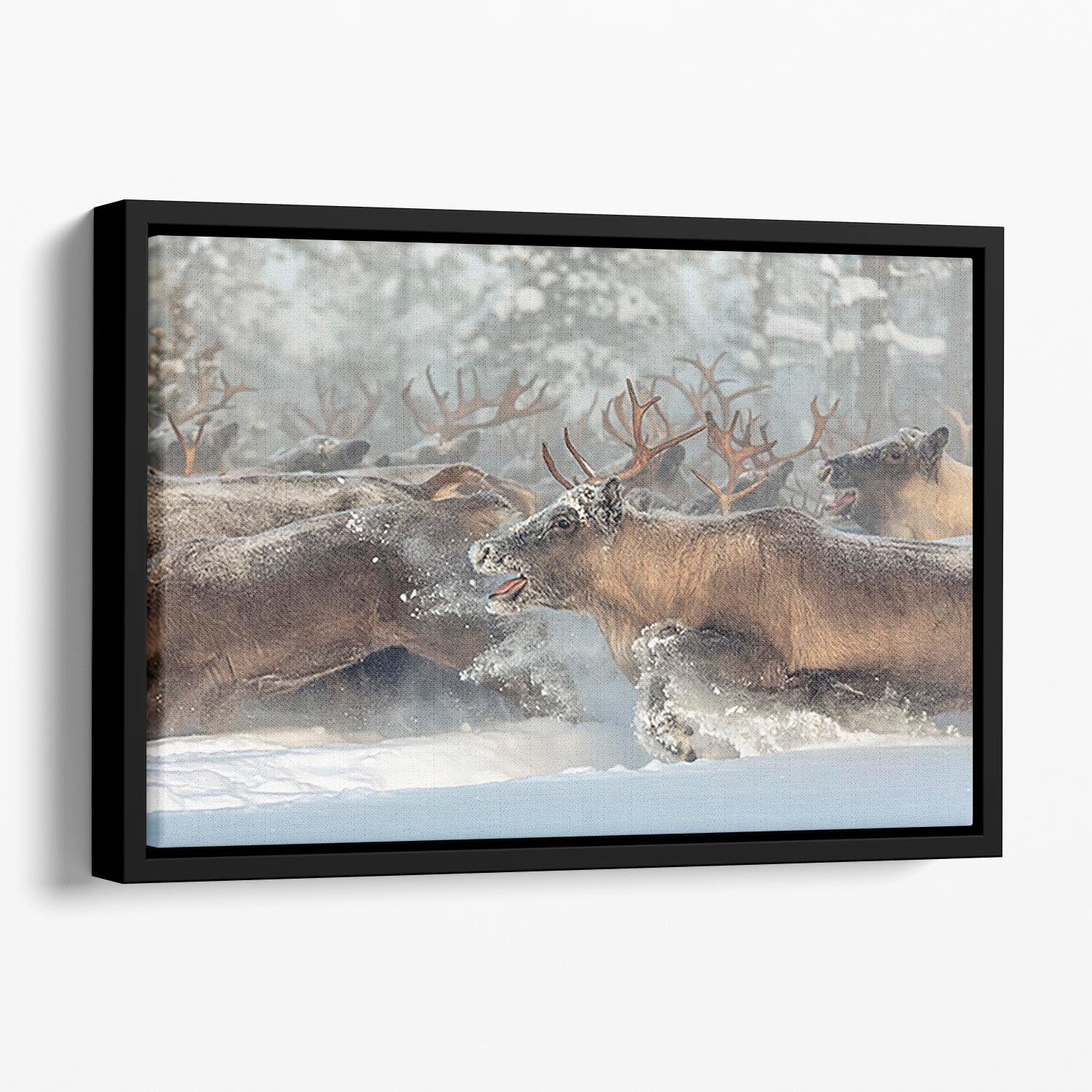 Reindeers III Floating Framed Canvas - Canvas Art Rocks - 1