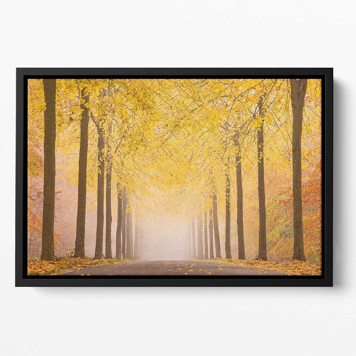 Autumn Road Floating Framed Canvas - Canvas Art Rocks - 2