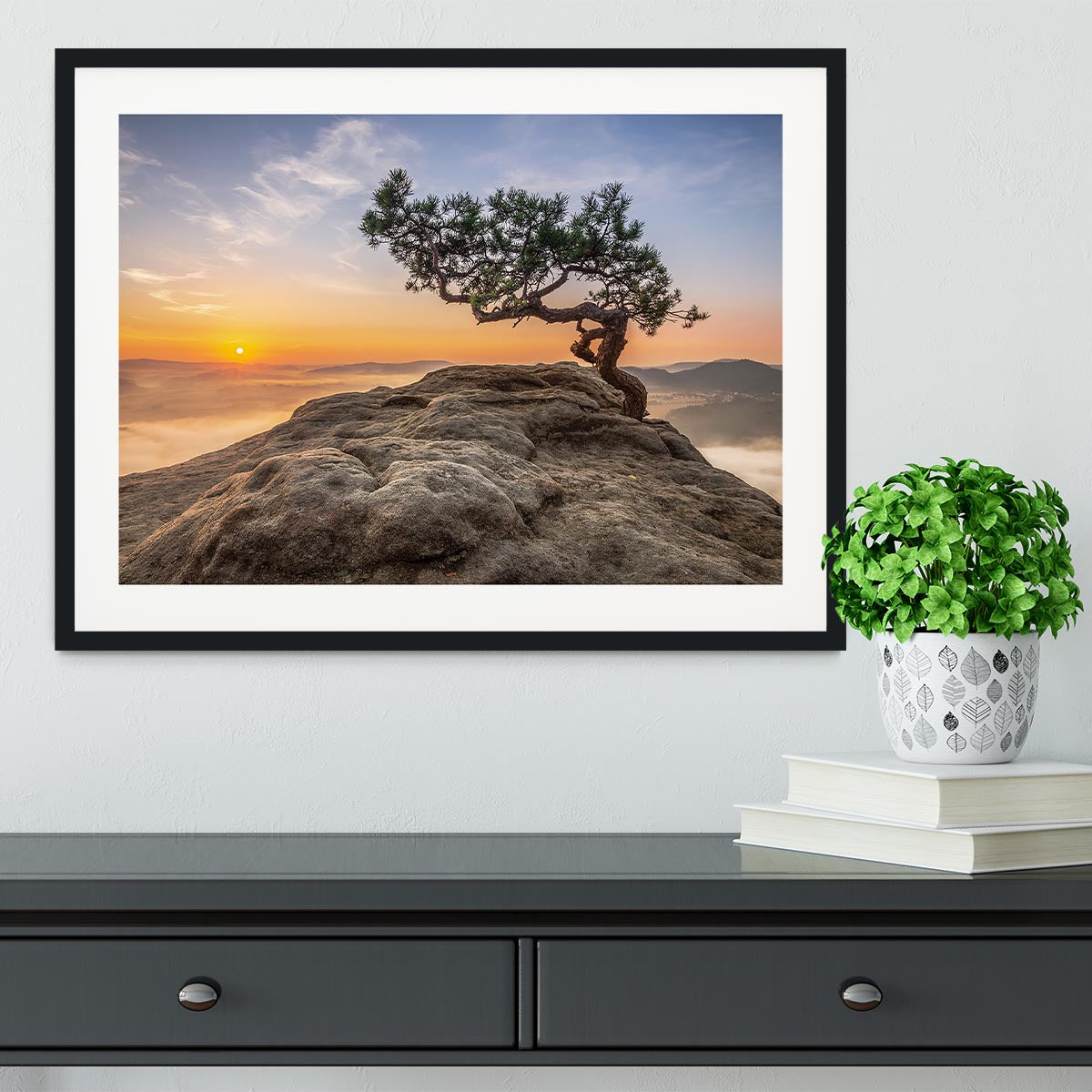 Old Pine Framed Print - Canvas Art Rocks - 1