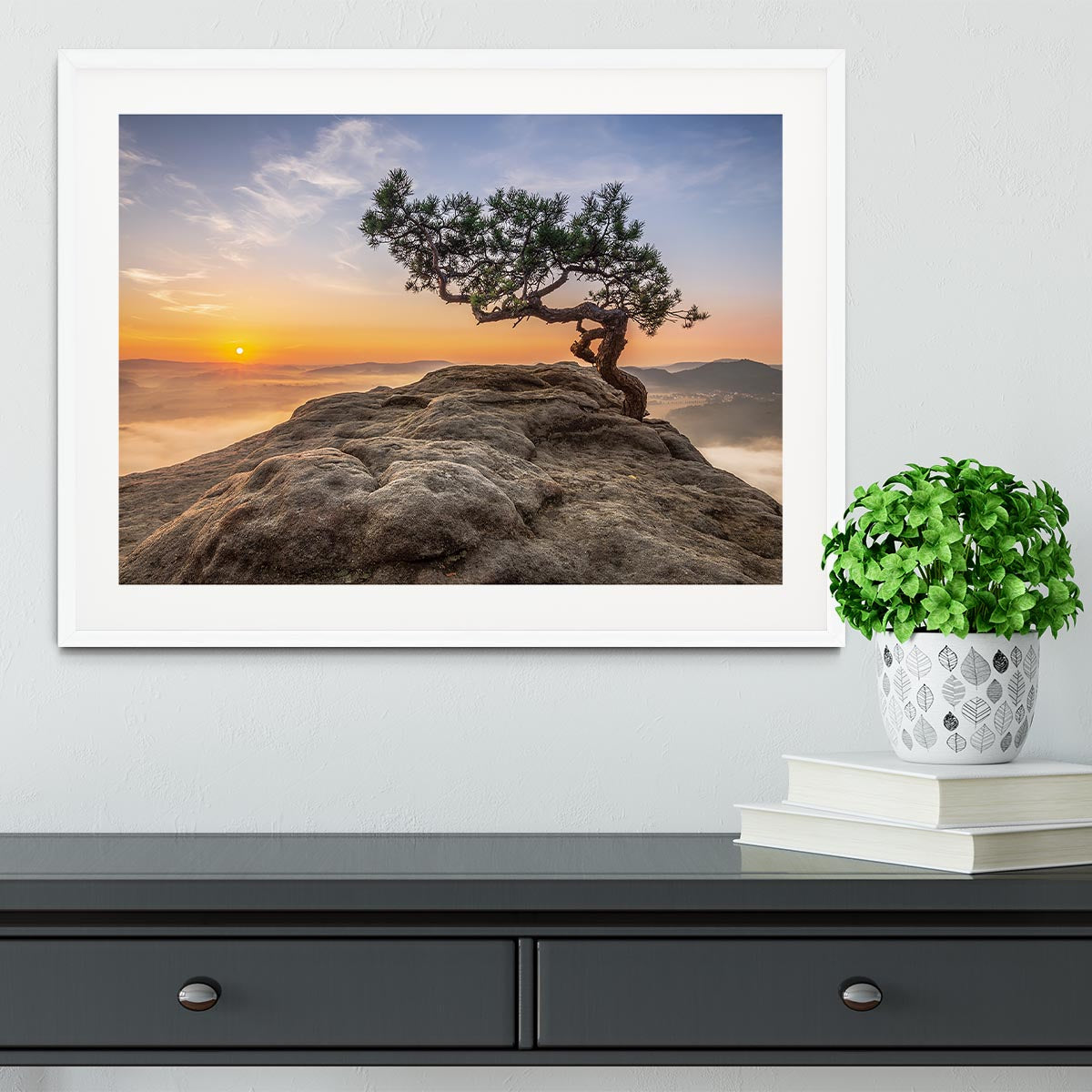 Old Pine Framed Print - Canvas Art Rocks - 5