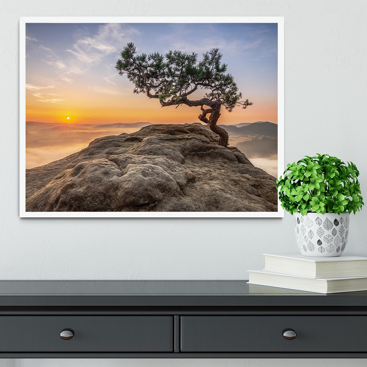 Old Pine Framed Print - Canvas Art Rocks -6