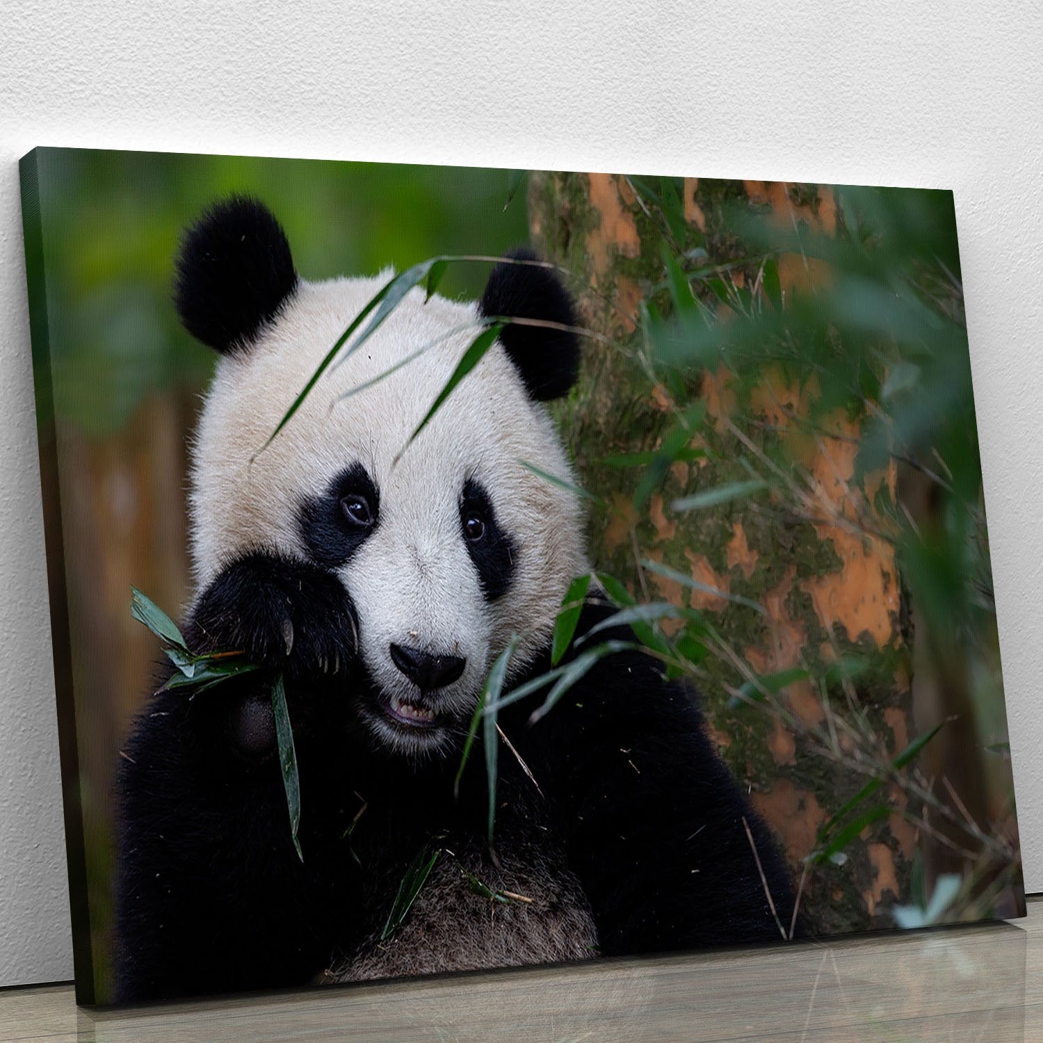 Bamboo Time Canvas Print or Poster - Canvas Art Rocks - 1