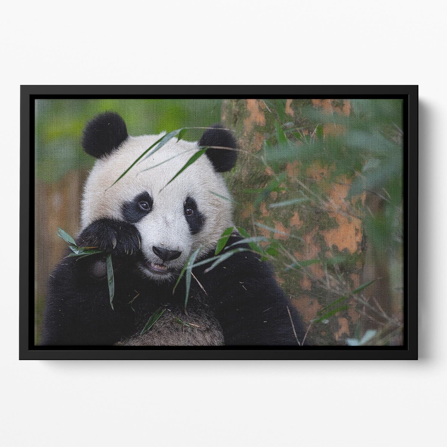 Bamboo Time Floating Framed Canvas - Canvas Art Rocks - 2