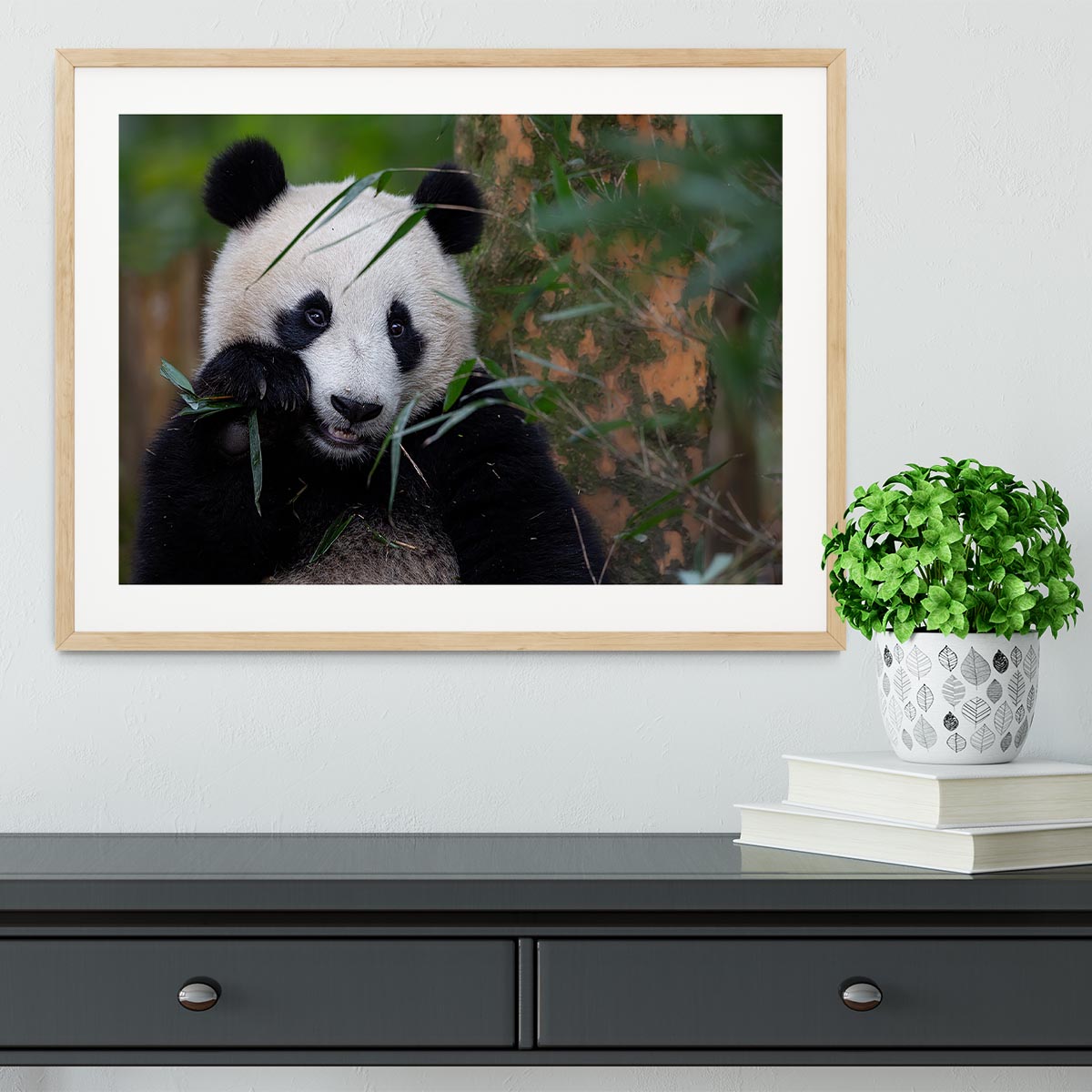Bamboo Time Framed Print - Canvas Art Rocks - 3