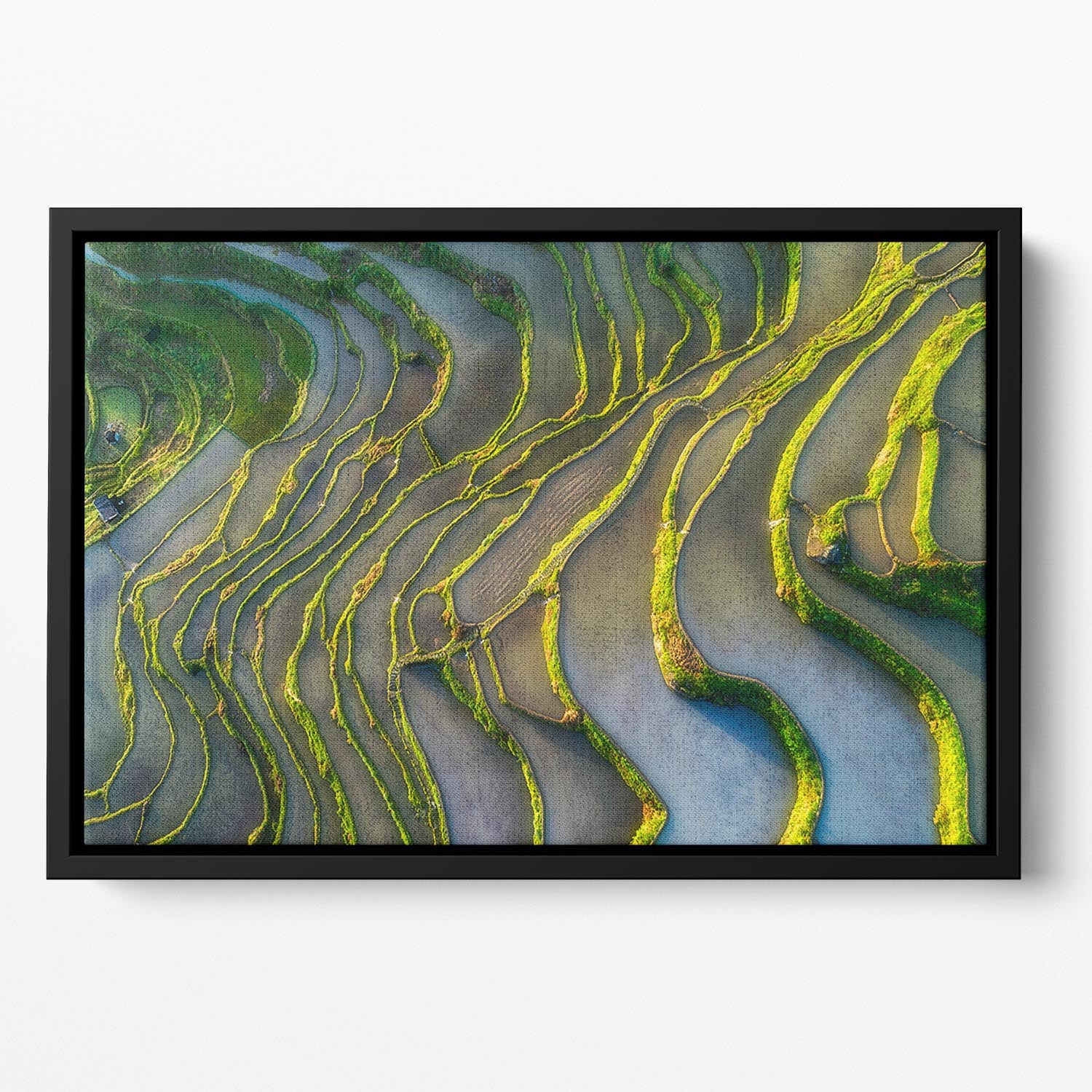 Terraced Fields Floating Framed Canvas - Canvas Art Rocks - 2