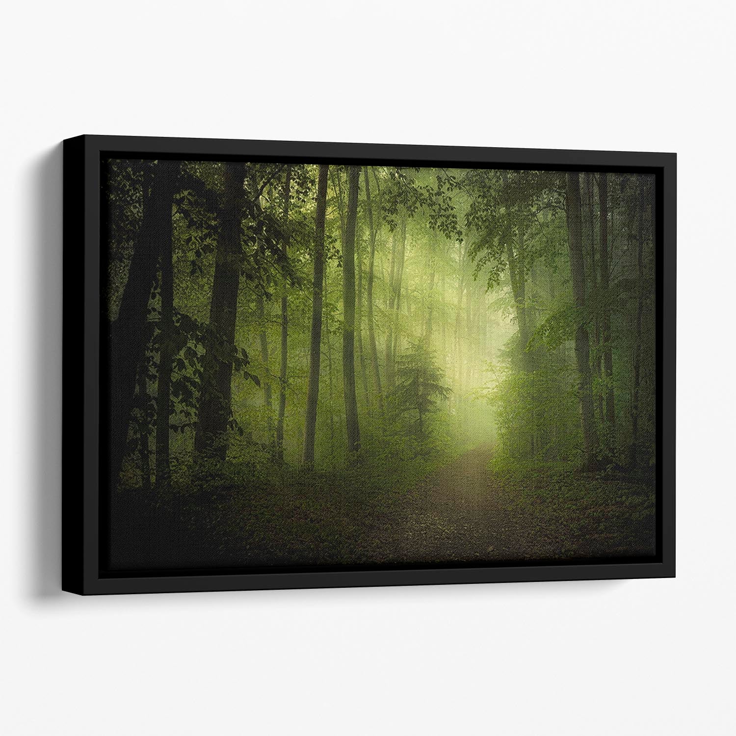 Spring Secret Floating Framed Canvas - Canvas Art Rocks - 1