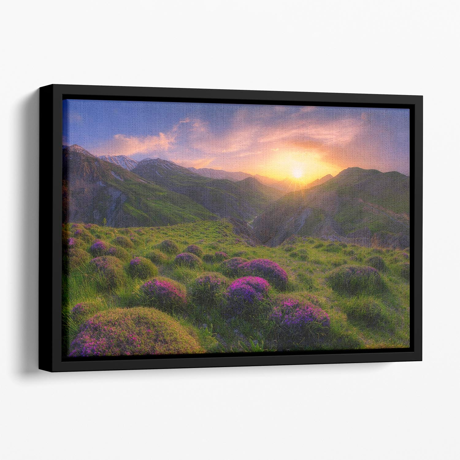 Spring In Show Floating Framed Canvas - Canvas Art Rocks - 1