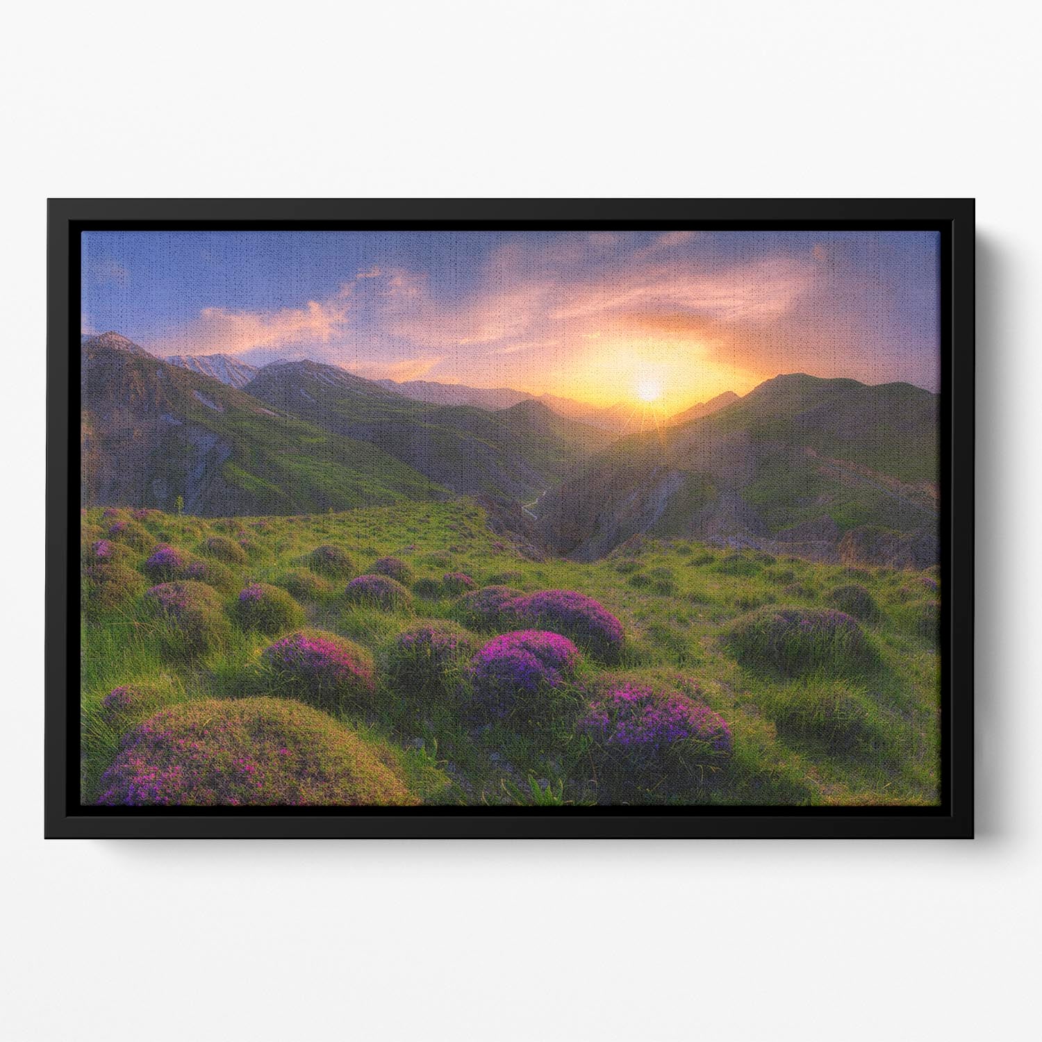 Spring In Show Floating Framed Canvas - Canvas Art Rocks - 2