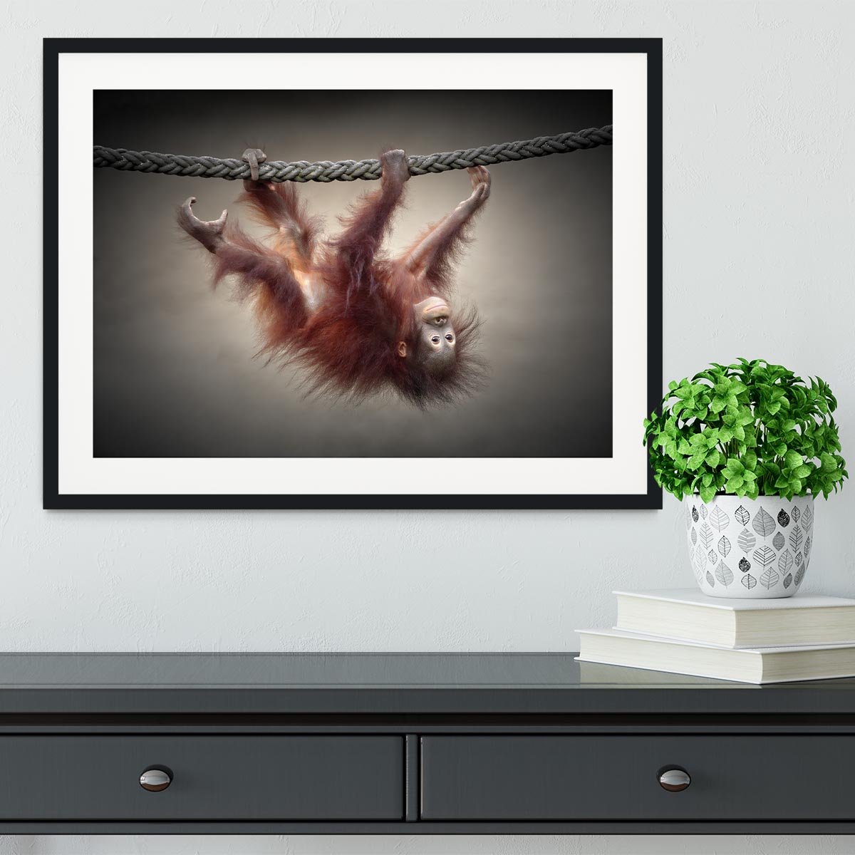 Climbing Monkey Framed Print - Canvas Art Rocks - 1