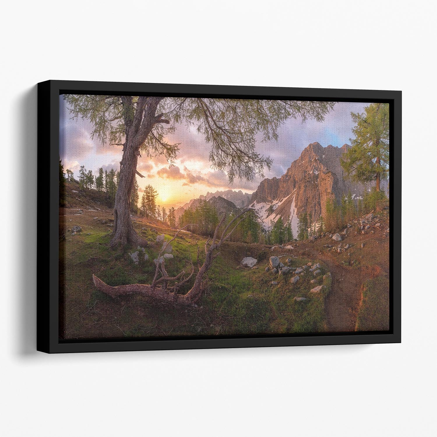 Magical Morning Floating Framed Canvas - Canvas Art Rocks - 1