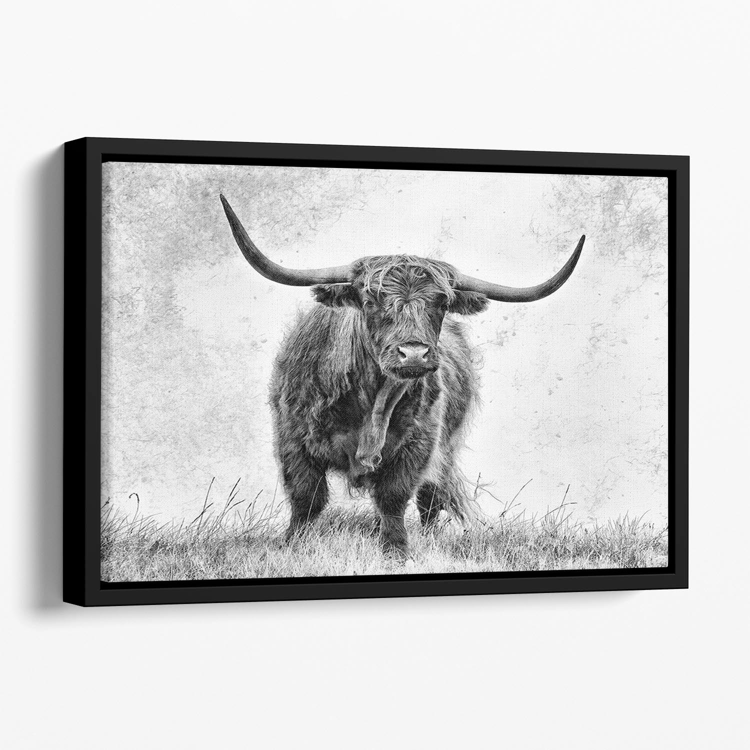 Highland Cow Floating Framed Canvas - Canvas Art Rocks - 1