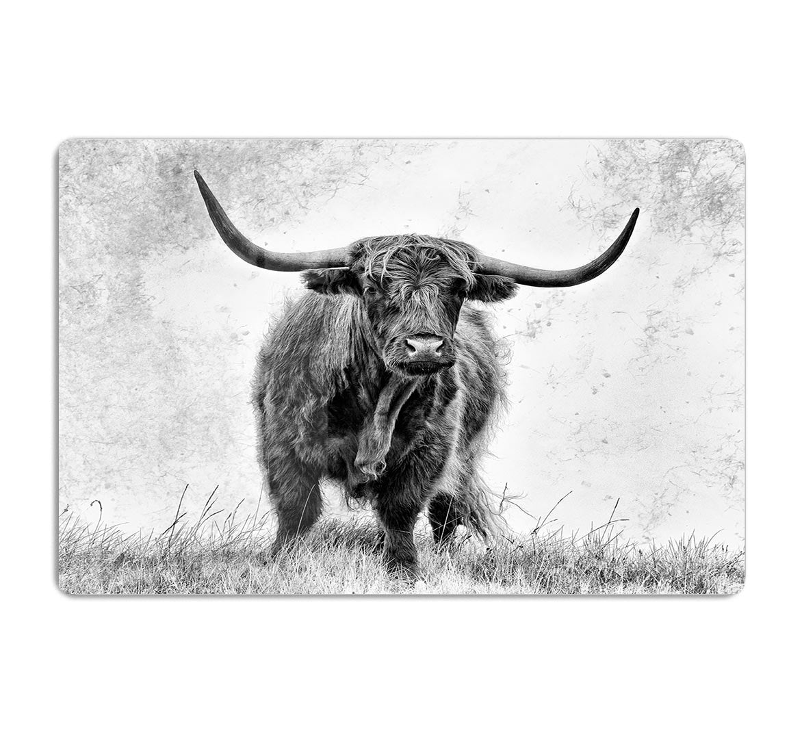 Highland Cow HD Metal Print - Canvas Art Rocks - 1
