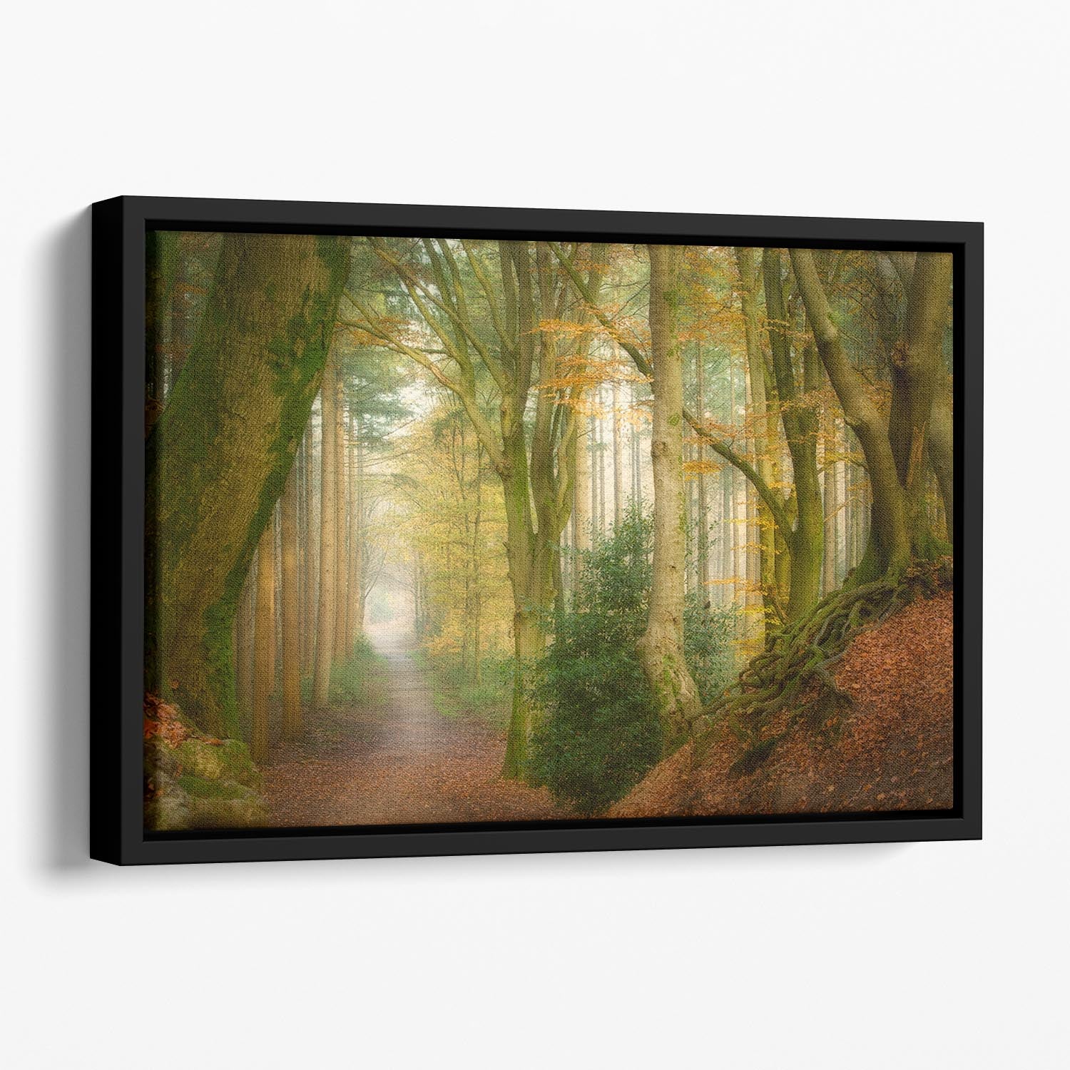 Following Fog Floating Framed Canvas - Canvas Art Rocks - 1