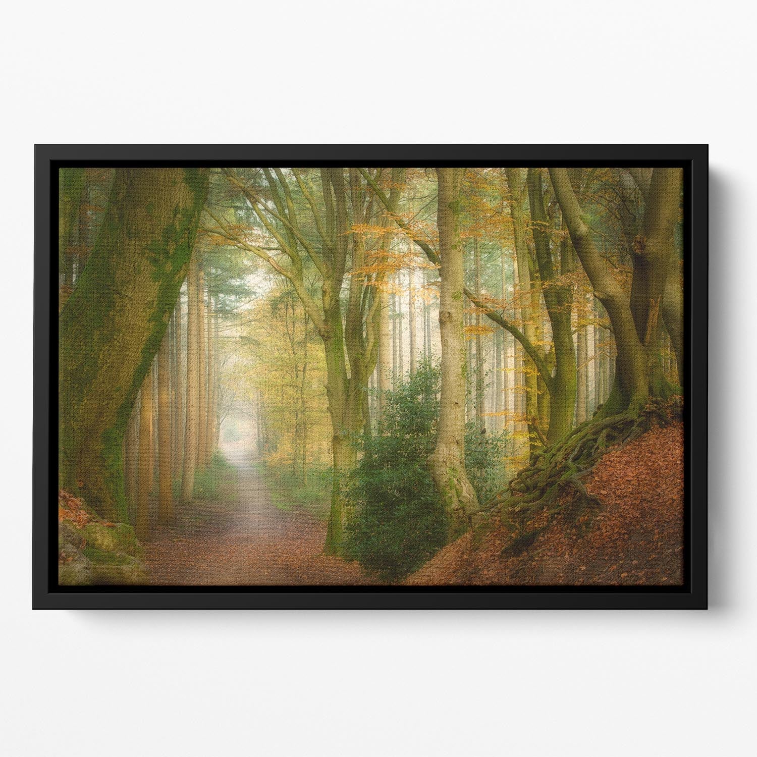 Following Fog Floating Framed Canvas - Canvas Art Rocks - 2